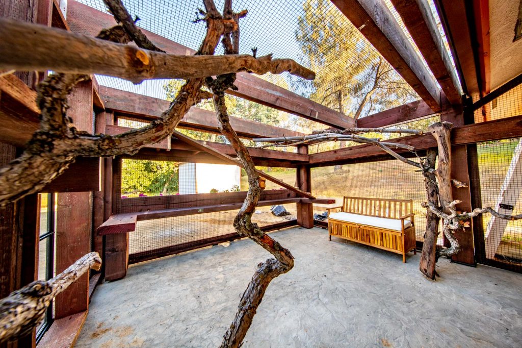 catio build in Coarsegold California