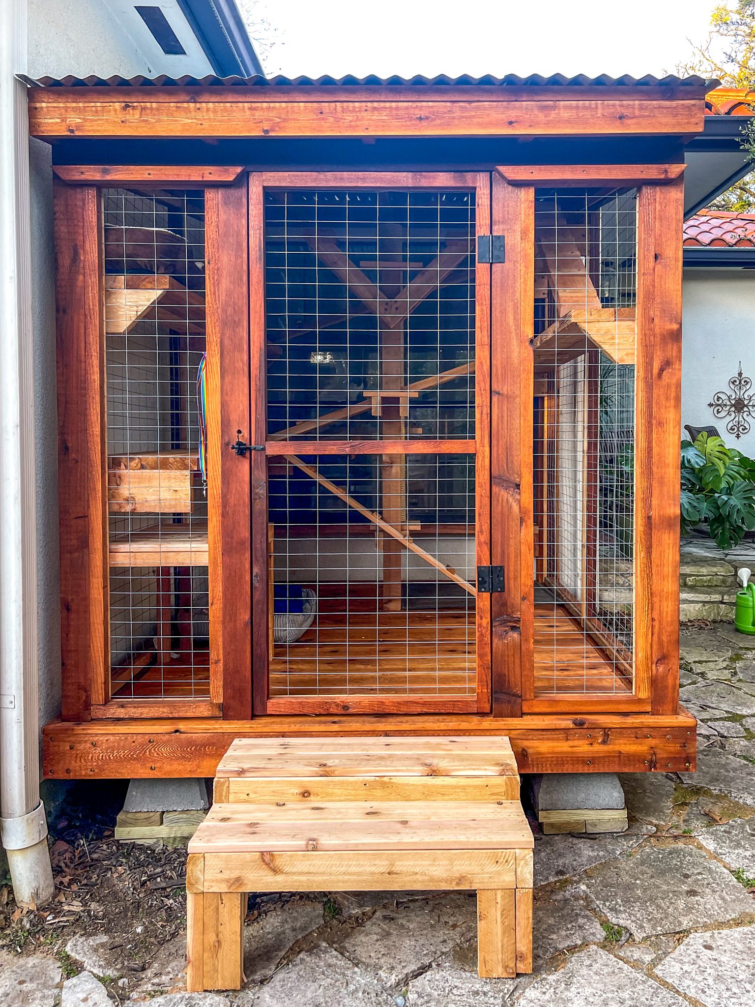 The Top 5 Catios of 2022 A Closer Look