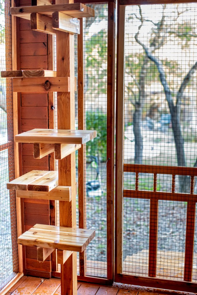 outdoor cedar cat tree in catio