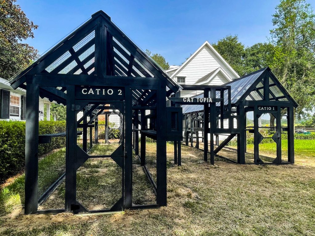 large outdoor cat enclosure
