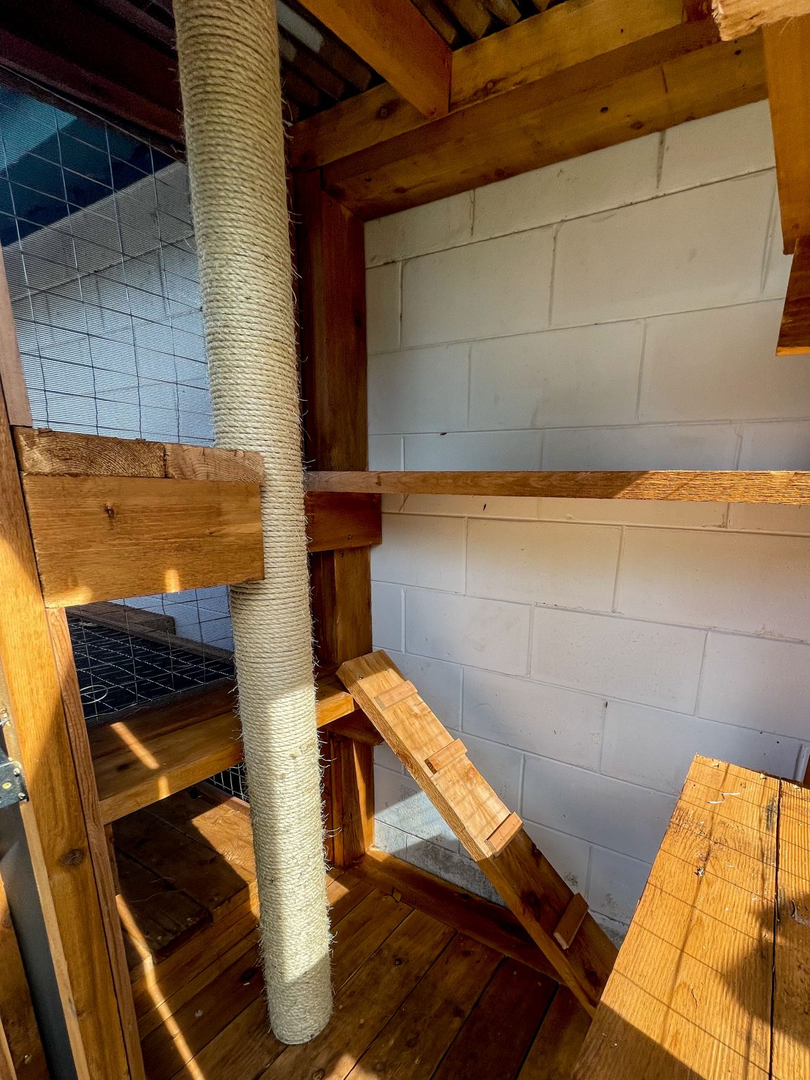 Outdoor Cat Scratching Post Catio Upgrades