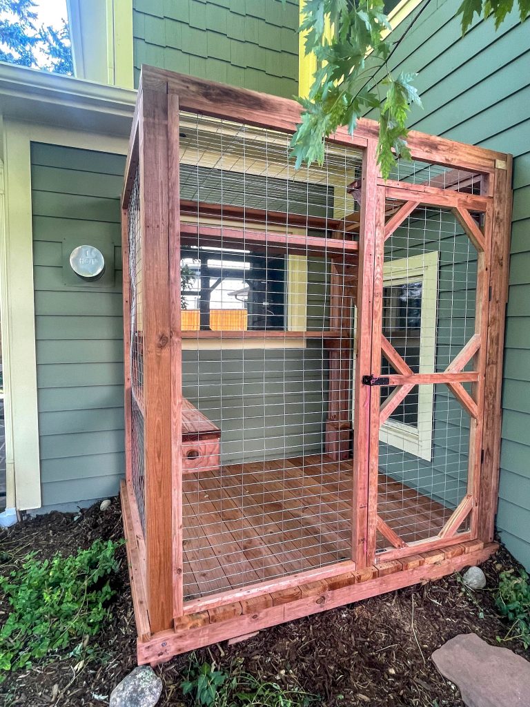 8x8 catio