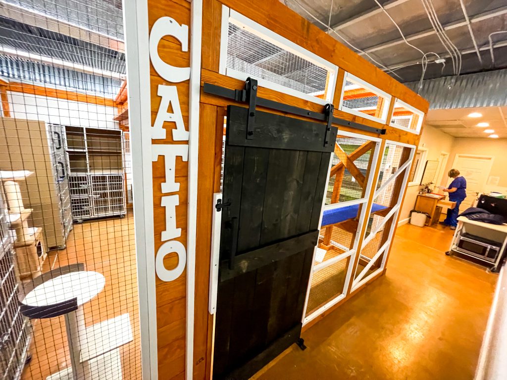 safe place for pets catio colorado springs