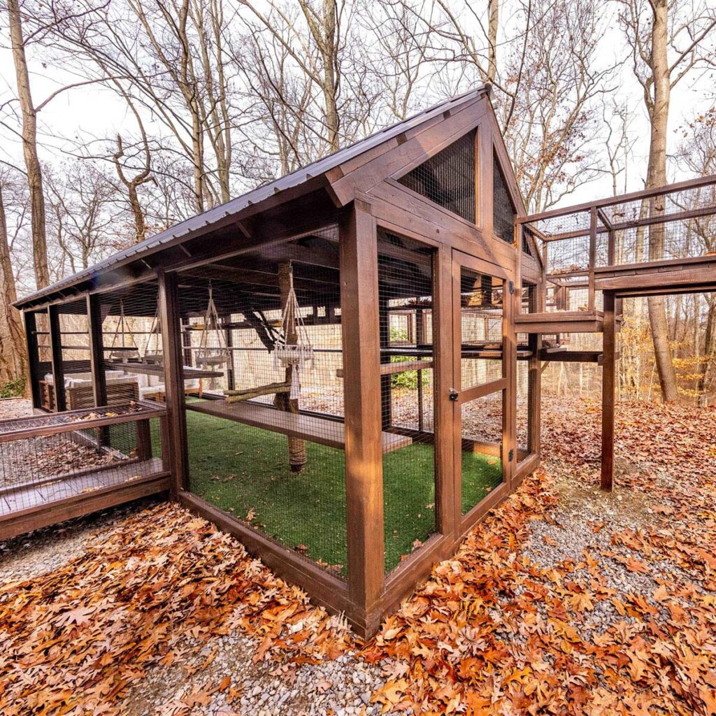 A spacious wooden catio nestled in a woodland setting, featuring a rich brown finish, secure wire mesh, and a gable-style roof. The enclosure includes multiple platforms, ramps, and hanging macramé hammocks for feline relaxation. A connecting tunnel leads to an elevated walkway, allowing cats to explore different sections of the structure. The ground is covered with artificial grass, blending seamlessly with the surrounding natural landscape of fallen autumn leaves and tall trees.