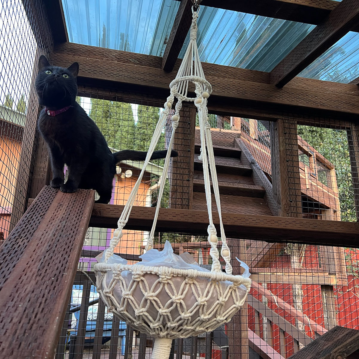 PVC catio roof example