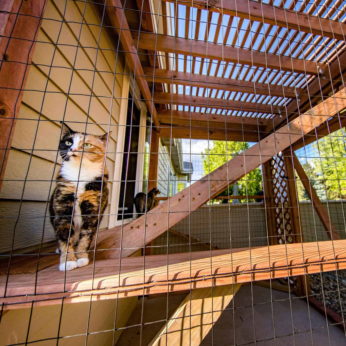 Lattice roof providing shade on a catio