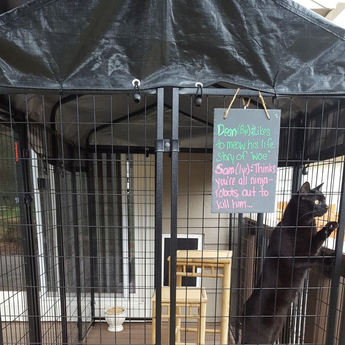 Tarp cover on a simple catio