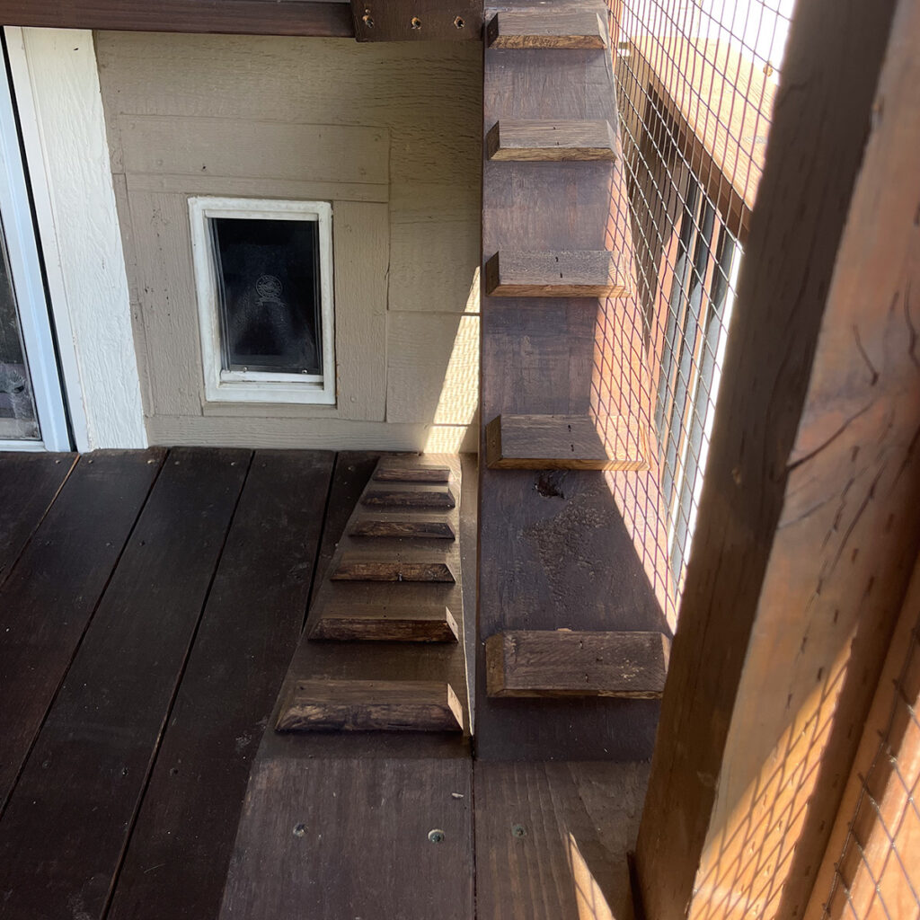 Interior view of a catio showing two wooden ramps leading from a pet door