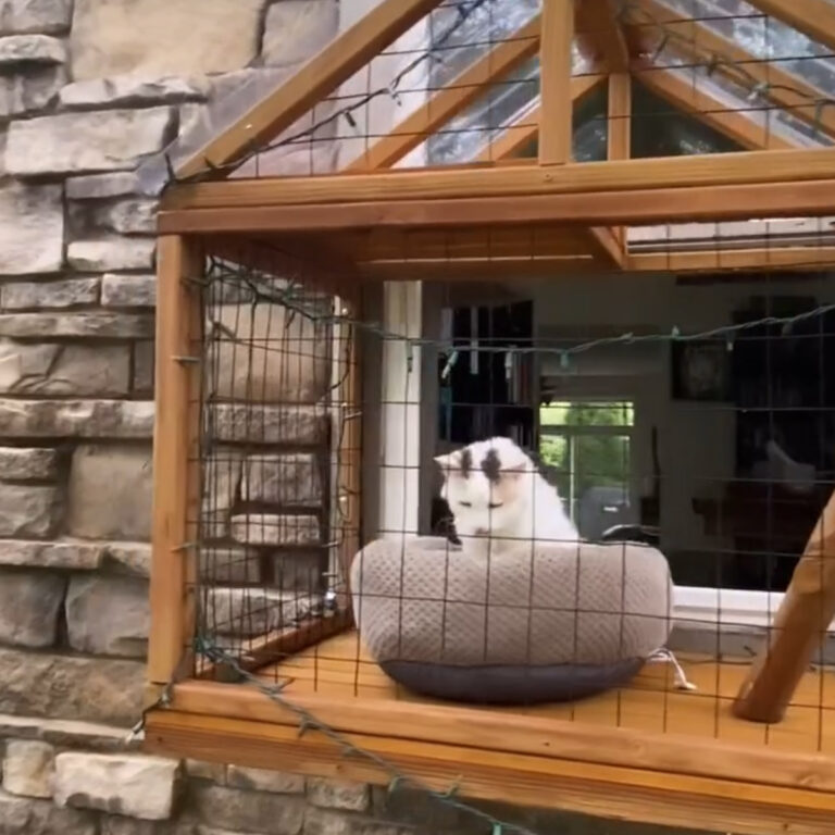 White cat sitting in a soft bed inside a window catio with pitched roof and mesh siding
