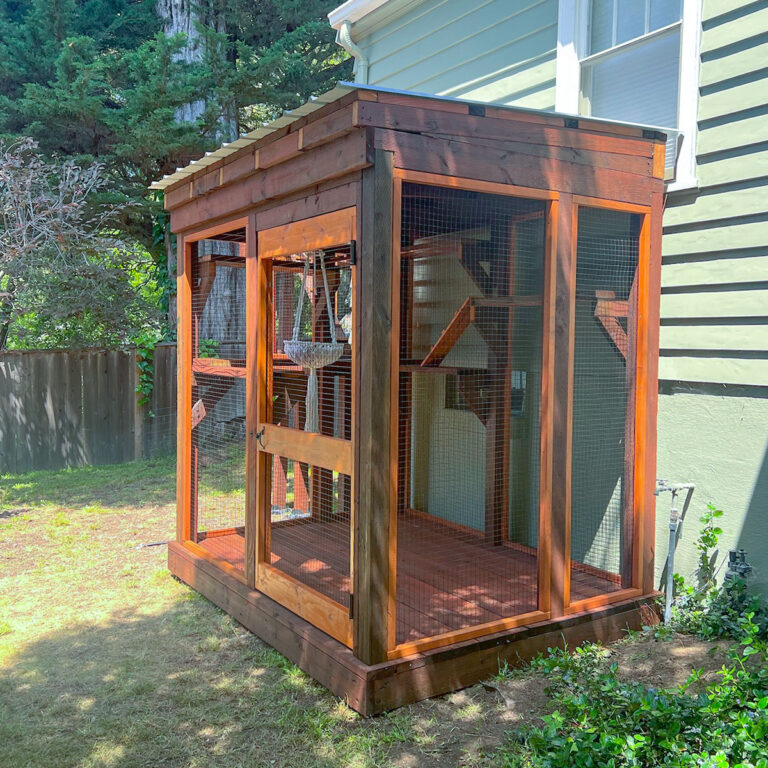 Ground-level catio with enclosed staircase, hanging hammock, and secure entry door, attached to house exterior.