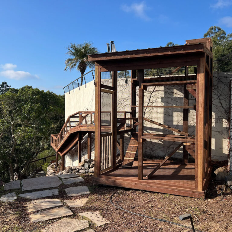 Freestanding vertical catio with climbing shelves and ramp access, built on natural slope with stone path nearby.