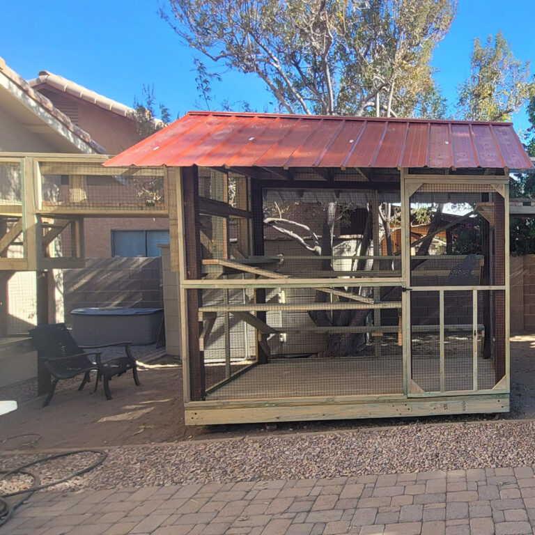 Backyard catio with red metal roof, vertical climbing ramps, and mesh walls in a desert-style patio.