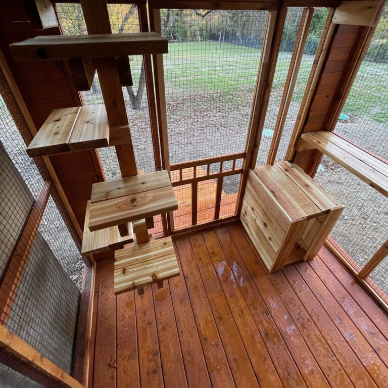 Interior of a wooden catio with climbing steps, cubby box, and ledge overlooking a grassy yard.