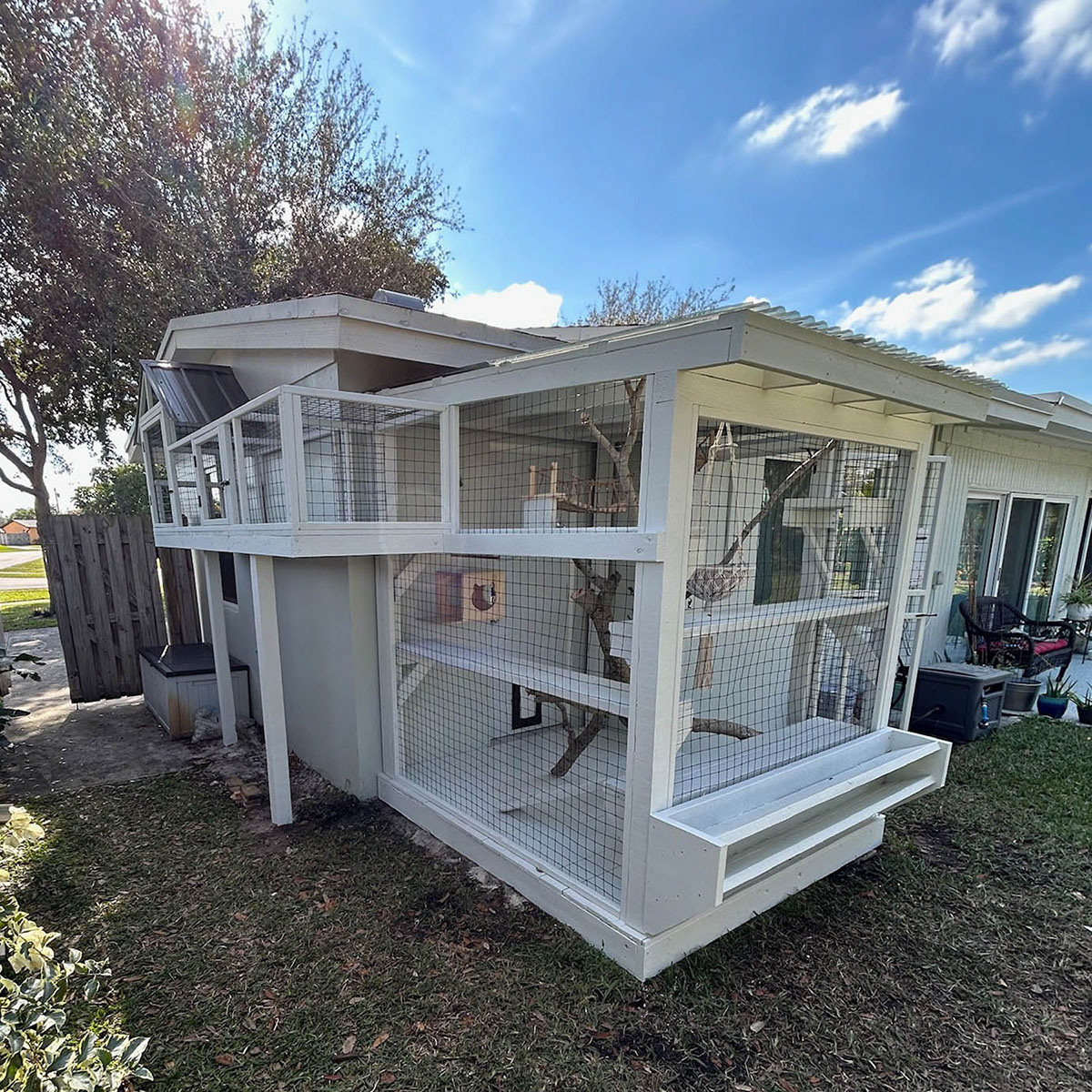 Catio-images-1