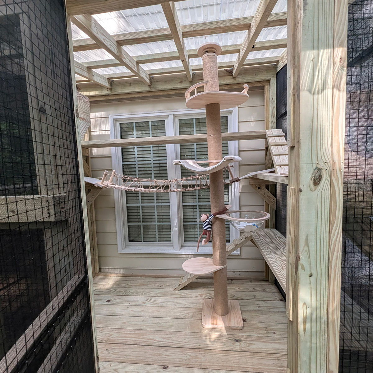 Catio-images-1