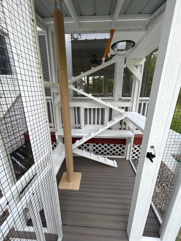 Interior view of a custom-built catio featuring a vertical ramp system, sisal-wrapped scratching post, hanging toys, and wood-look flooring.