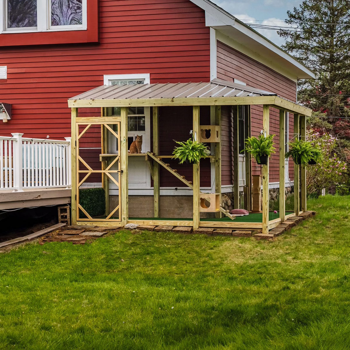 Custom Catio in Haverhill, Massachusetts