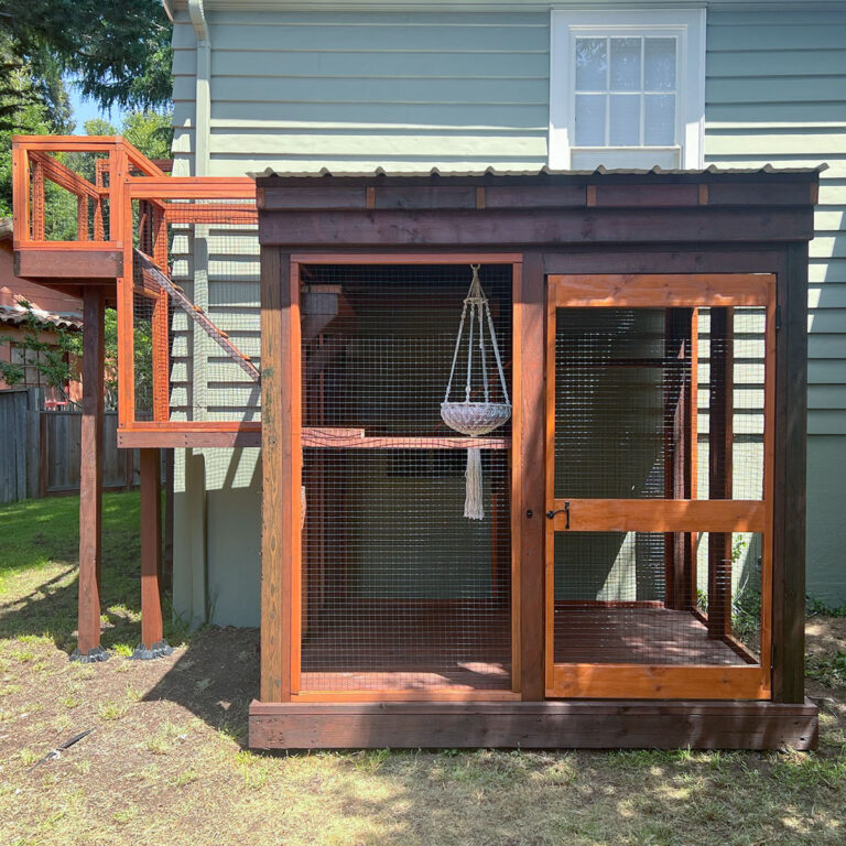 Corner catio enclosure with wooden framing, clear roof, and internal ramps for cat climbing and play.