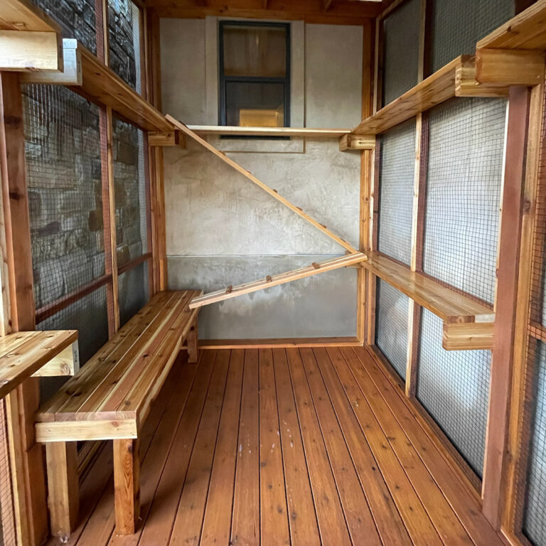 Interior view of catio with wide wooden benches, climbing ramp, and wraparound wall shelves.