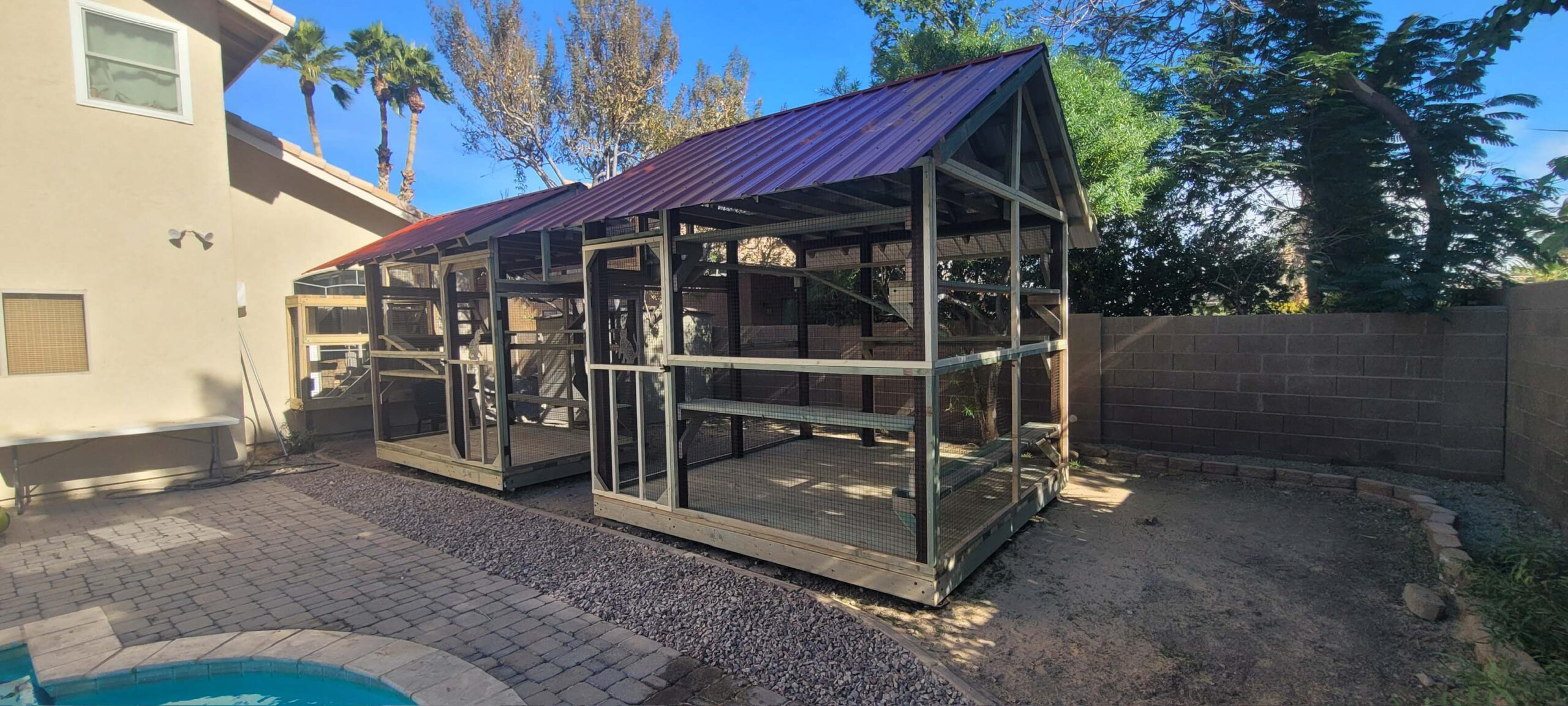 Wide view of dual red-roofed catio enclosures built on a backyard patio, featuring mesh walls, interior shelving, and a connecting tunnel to the house.