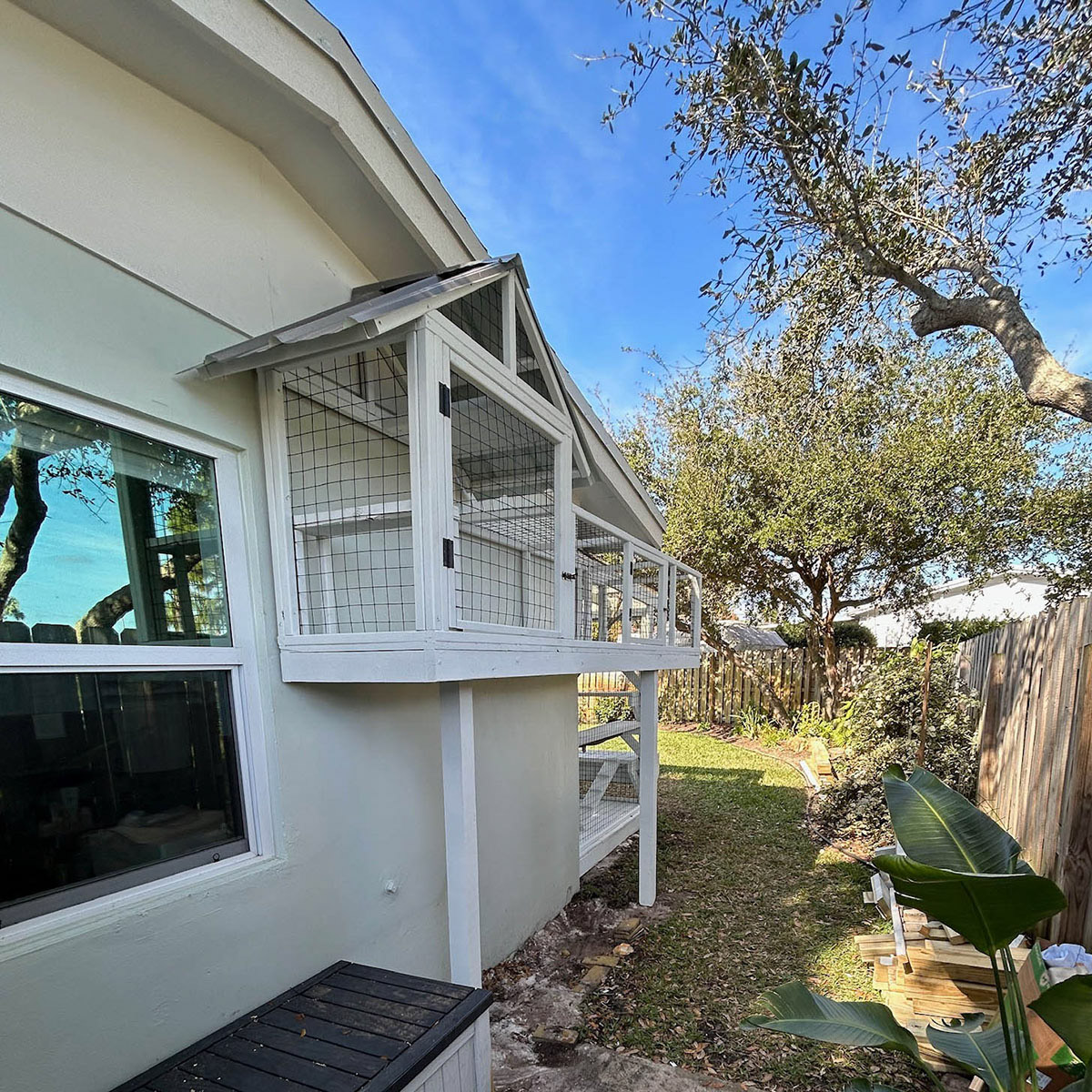 Catio-images-2