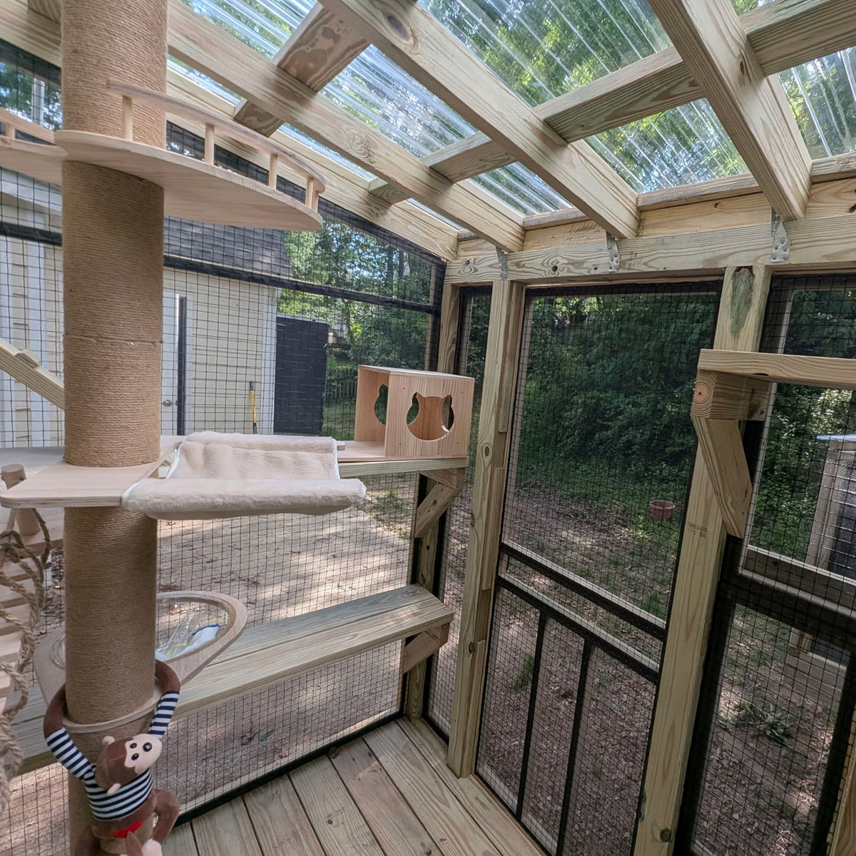 Catio-images-2