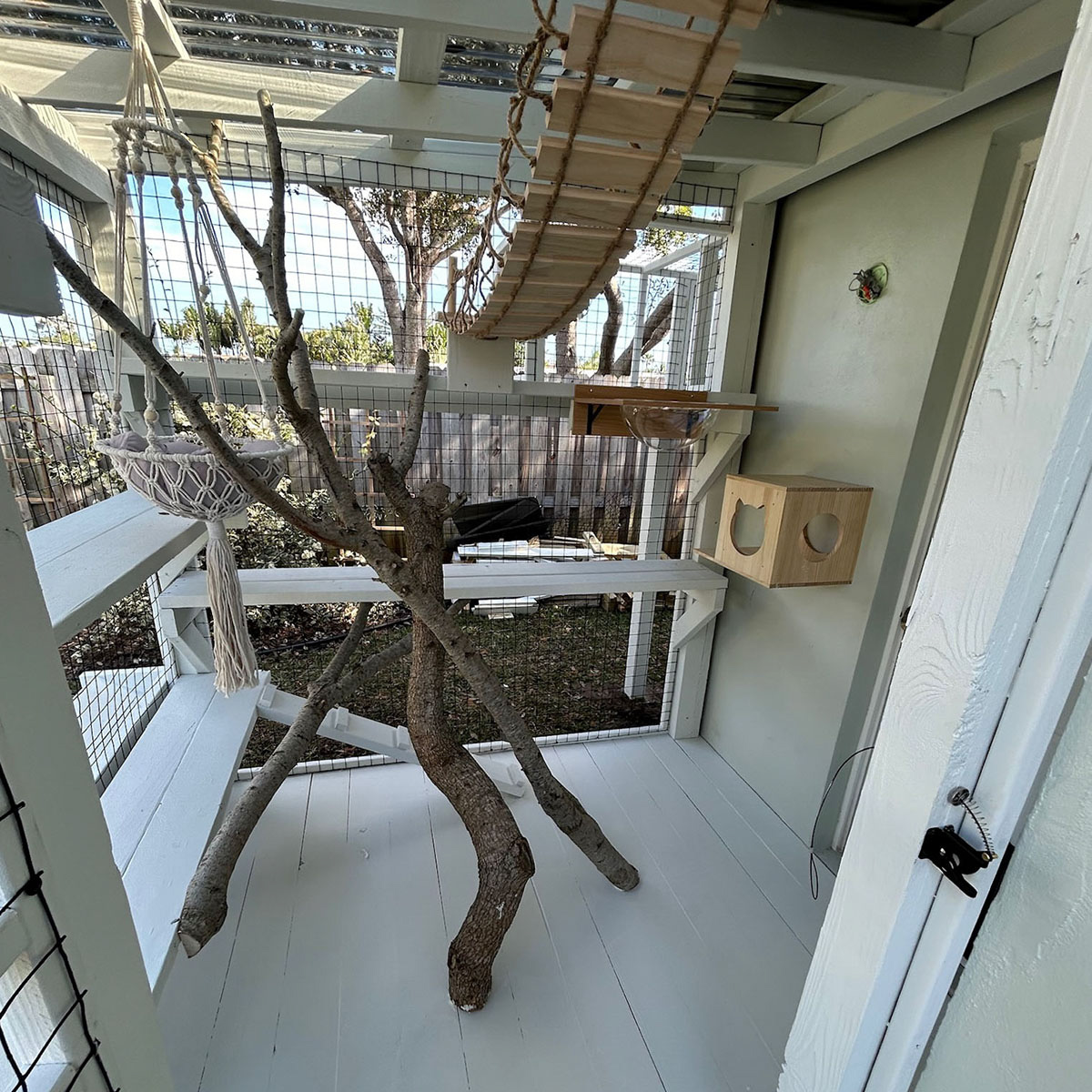 Catio-images-3