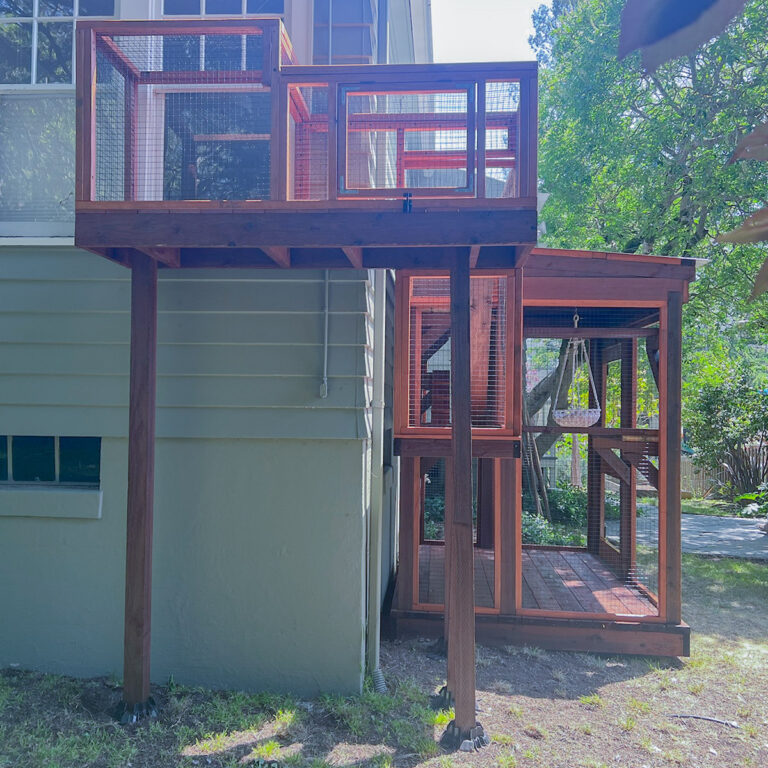 Elevated multi-level catio attached to house with enclosed platforms and vertical space for cats to explore.