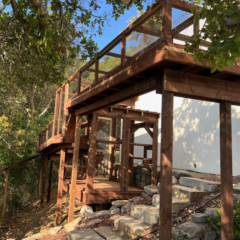 Elevated multi-level catio structure with upper deck, mesh railings, and ramp access on a sloped backyard.