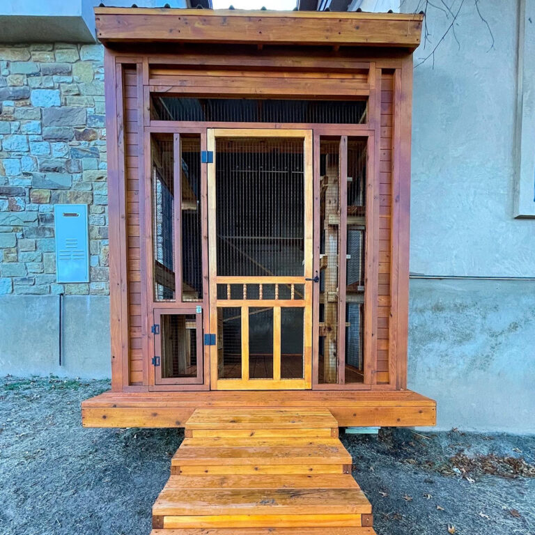Front view of enclosed wooden catio with mesh door, pet door, and entry stairs leading from yard.