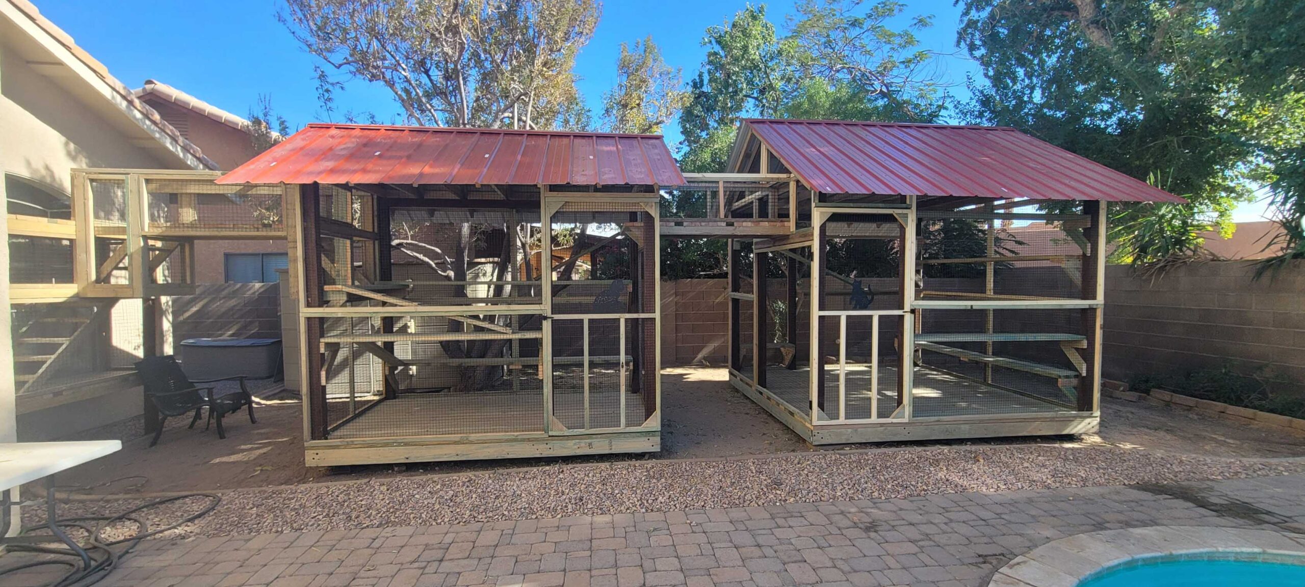 Two large custom-built catios with red metal roofs connected by an overhead walkway, situated in a backyard with patio seating and a swimming pool nearby.