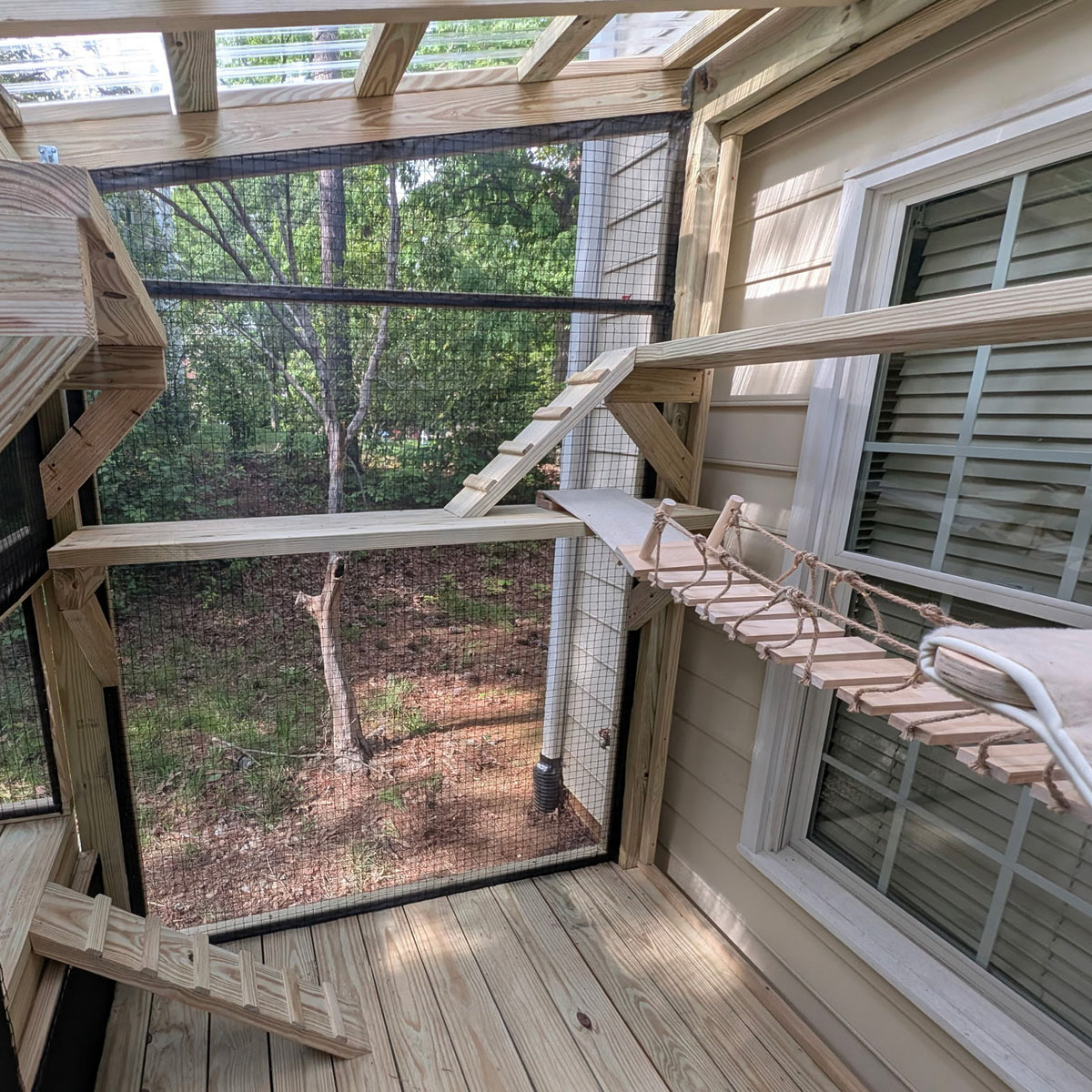 Catio-images-3