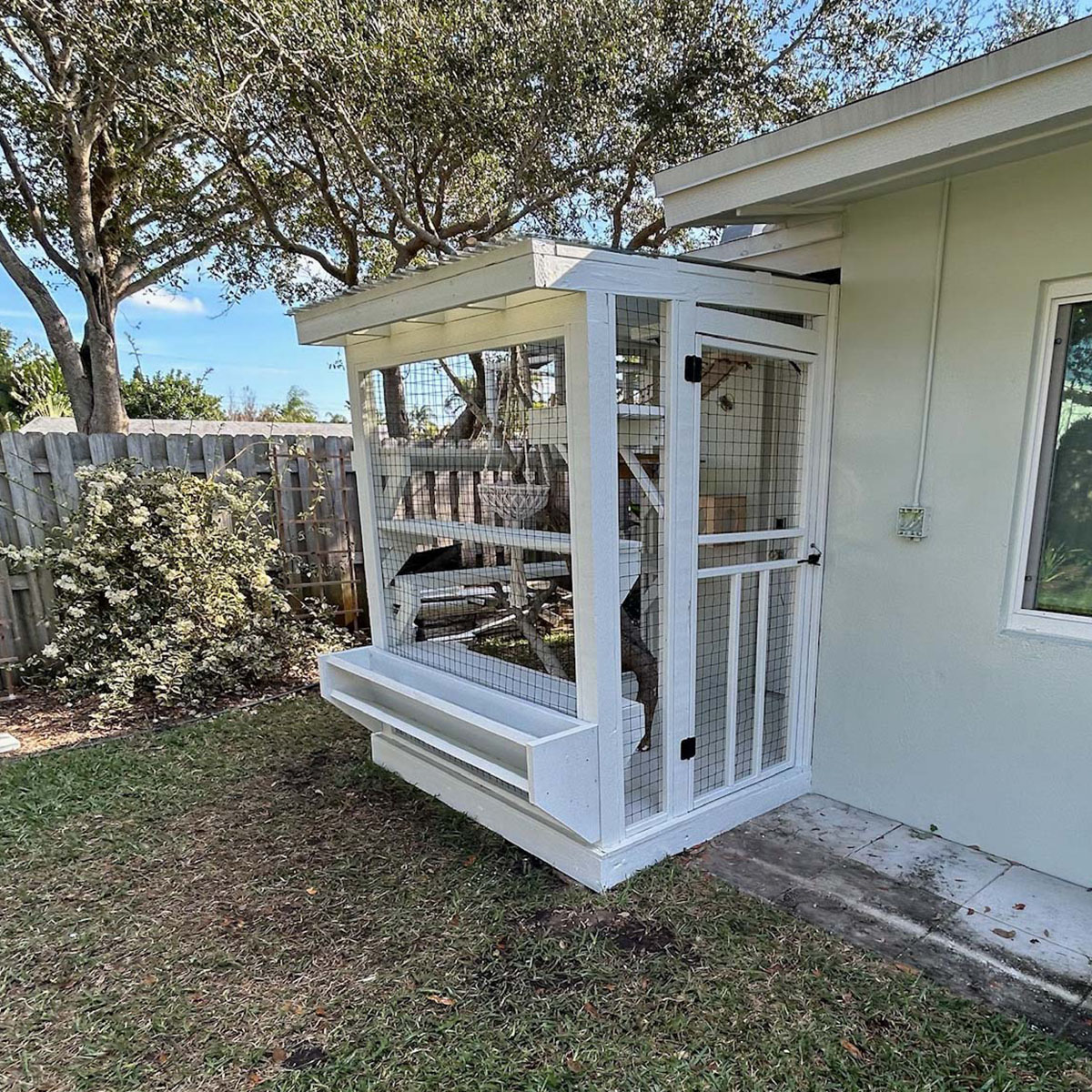 Catio-images-4