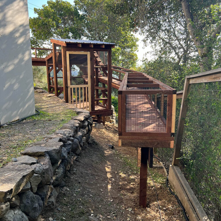 Expansive catio with long tunnel-style walkway leading into forested yard, connected to multi-level enclosure.