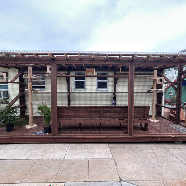 Front view of large catio with wooden bench, two tall cat trees, plants, and secure mesh fencing along house exterior.