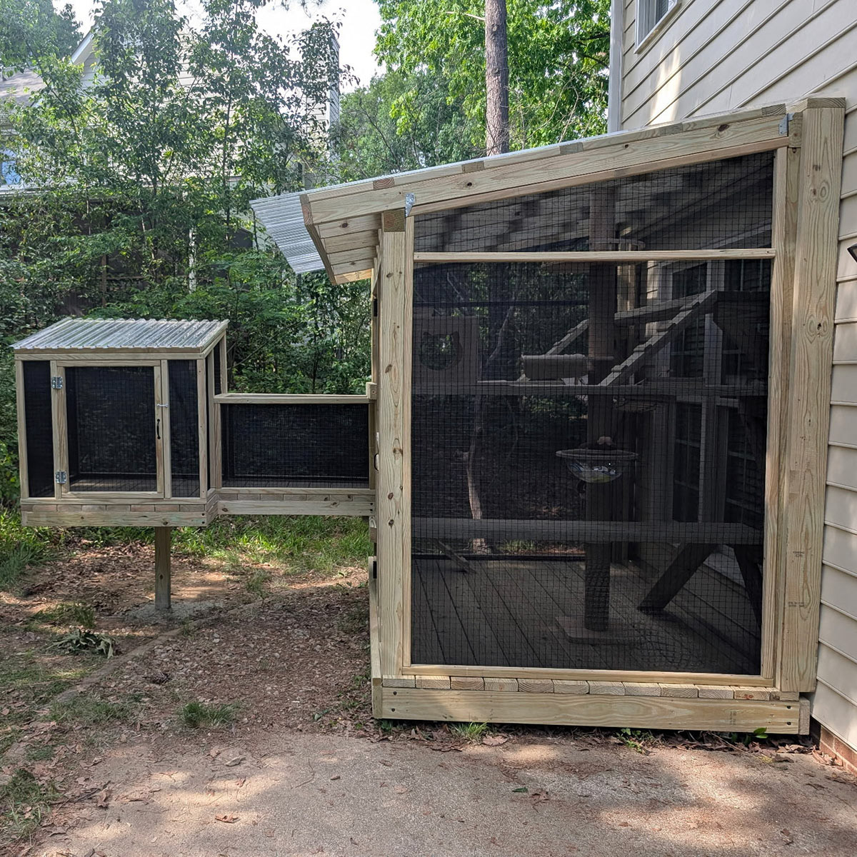 Catio-images-5