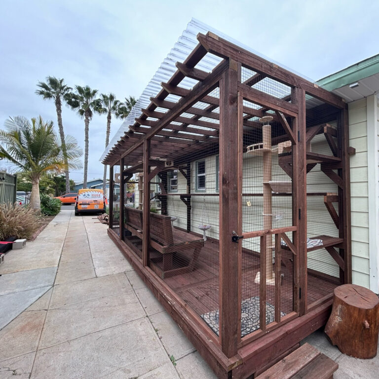 Long wooden catio attached to house with clear roof, built-in benches, climbing shelves, and cat tree.