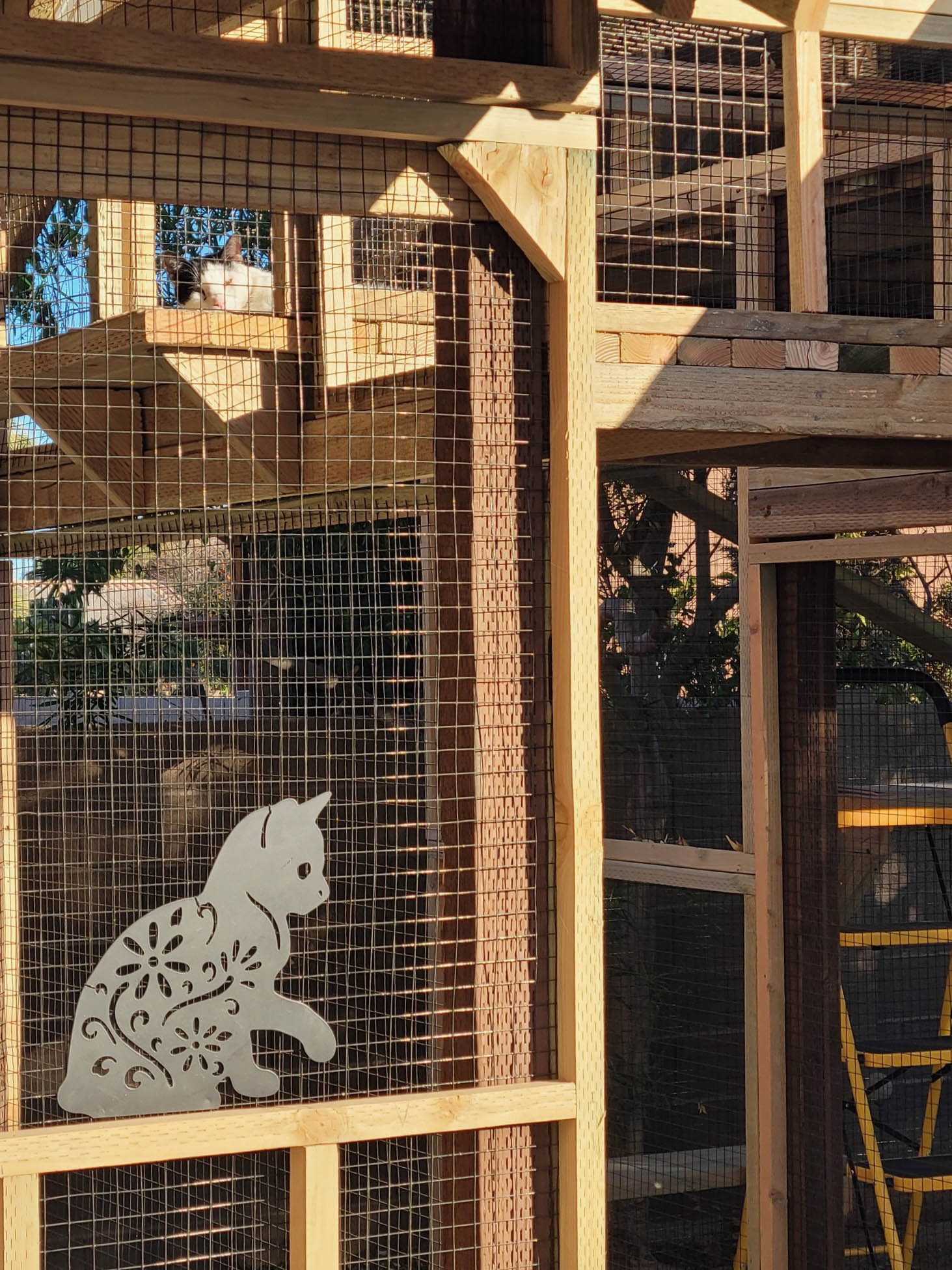 Multi-level catio made of wood and mesh with a decorative metal cat silhouette on the lower panel and a real cat lounging on an upper shelf.