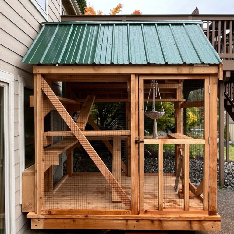 Custom-built catio with green metal roof, interior ramps, platforms, and a hanging hammock for cats.
