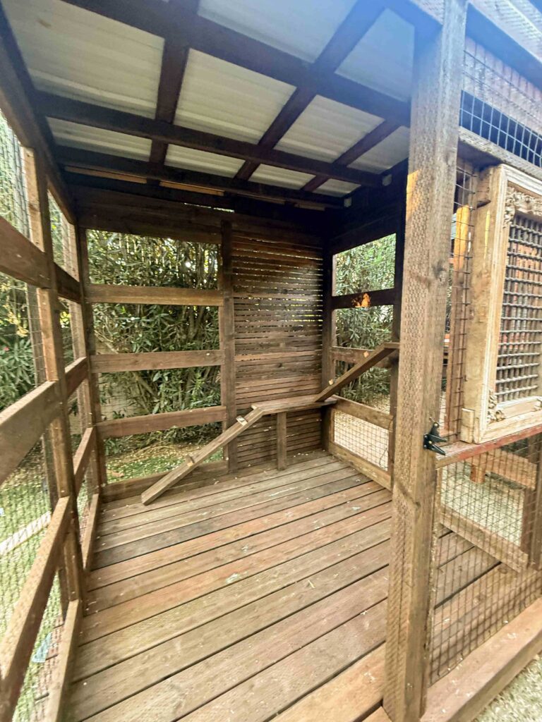 Spacious interior of a wooden catio enclosure with a sloped climbing ramp and a partially covered roof in a fenced backyard.