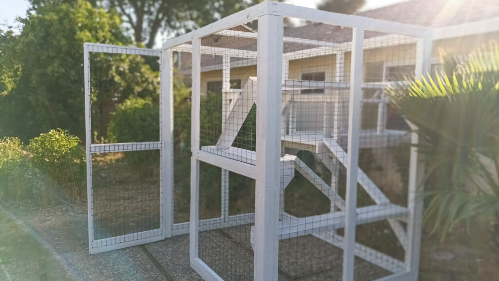 White-painted outdoor custom catio in a backyard with multi-level platforms and a mesh door, basking in soft afternoon sunlight.