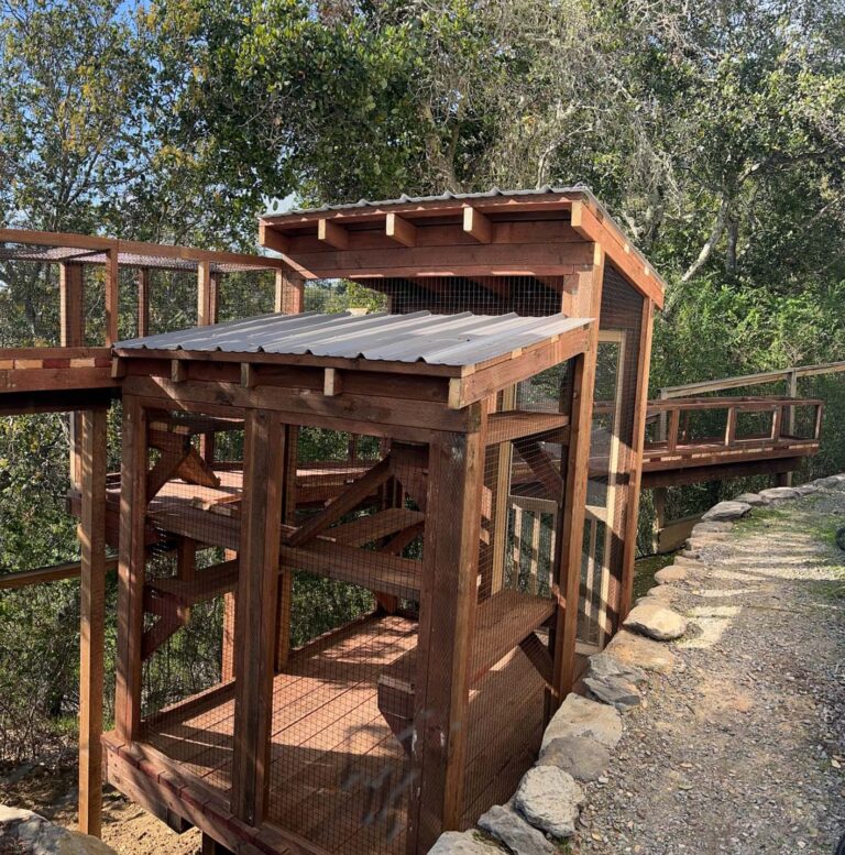 Wood-framed catio tower with mesh sides and a metal roof, connected to an elevated walkway along a wooded hillside.