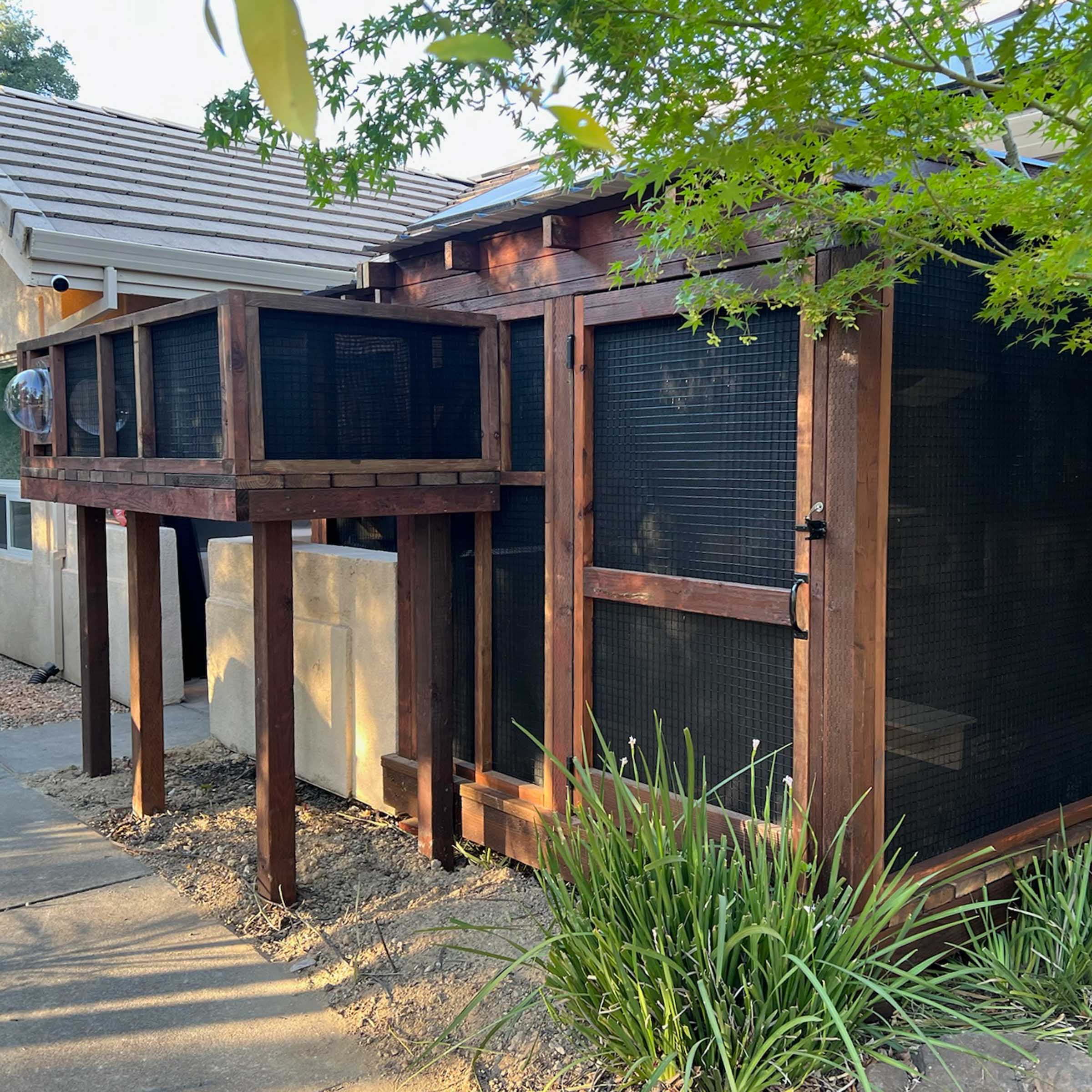 Exterior view of a large custom catio attached to a house, featuring a secure wood frame, mesh walls, and a clear bubble window for cats to peek out.