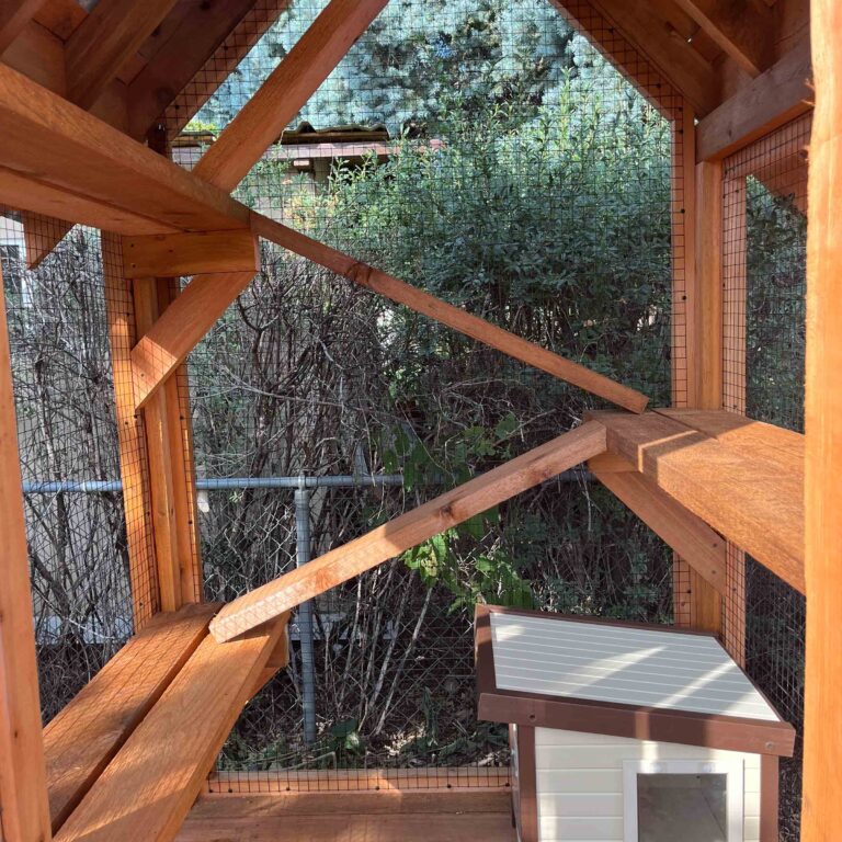Interior corner of a catio with wooden climbing shelves, diagonal support beams, and a white cat shelter box with a slanted roof.