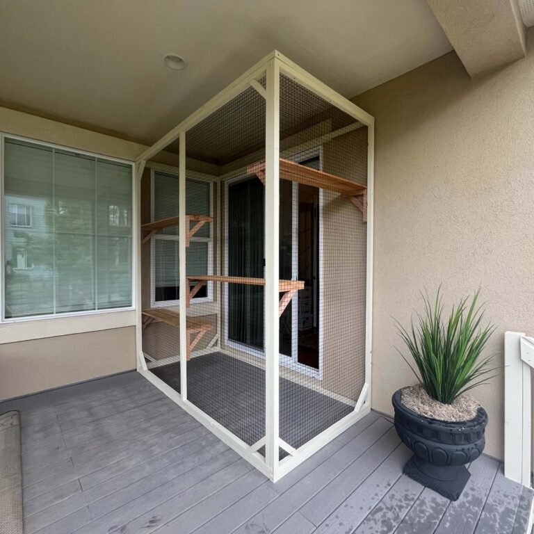 Corner-installed custom catio with beige framing and staggered wooden shelves, situated on a covered patio.
