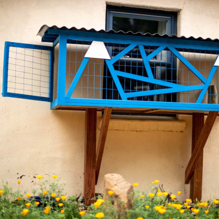 A blue wall-mounted custom catio with geometric wood framing and wire mesh, supported by angled wooden posts and attached to a house window above a garden of blooming yellow flowers.