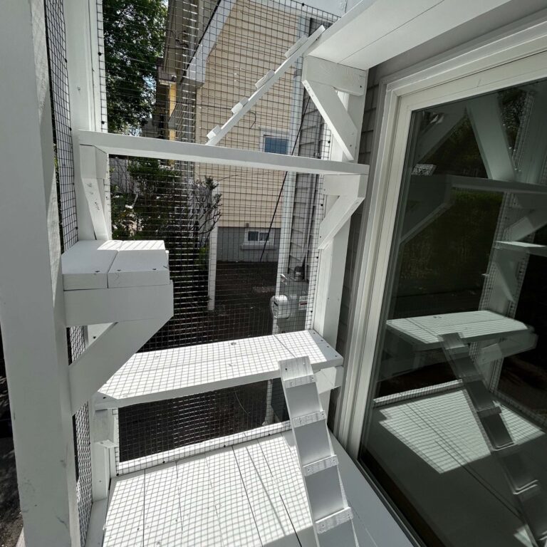 Multi-level white catio with enclosed wire mesh walls, featuring tiered platforms and a small ramp for climbing, adjacent to a home's sliding glass door.