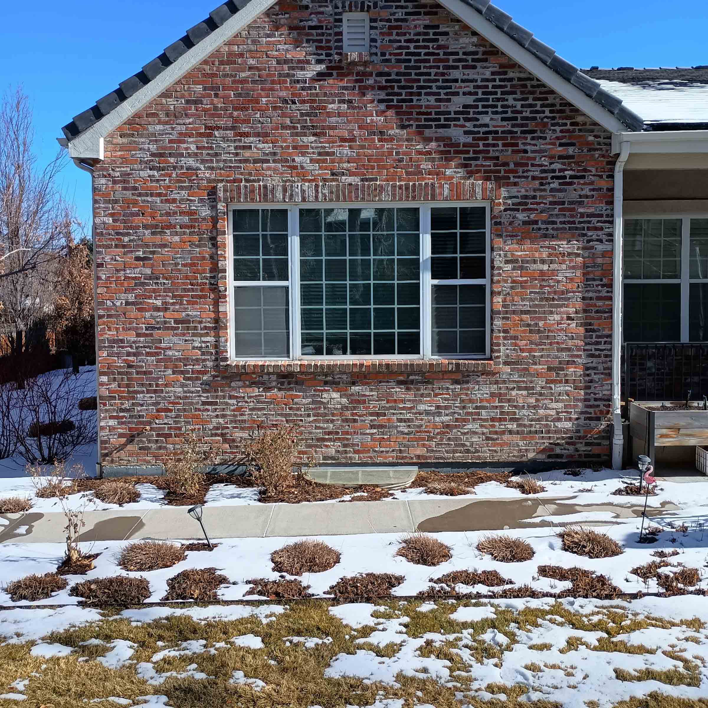 Exterior view of a brick house wall with a large window, snowy yard, and dormant landscaping, showing the project site before catio installation.