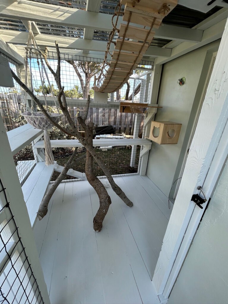 Interior view of a custom catio featuring a natural wood climbing tree, rope bridge, hammock swing, wall-mounted shelves, and enclosed play boxes.