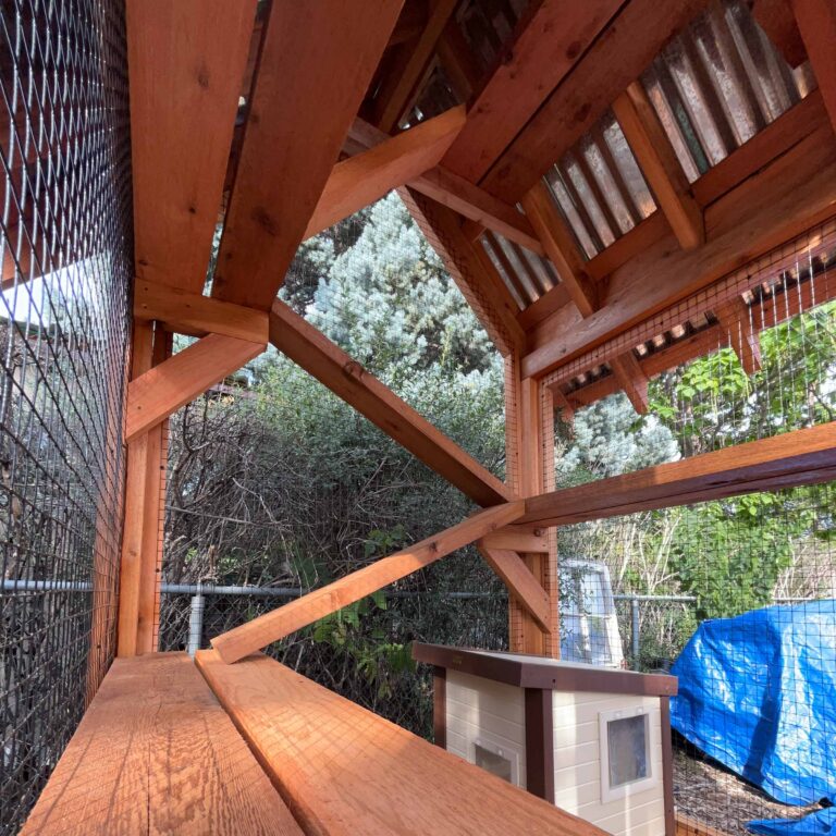 Interior view of a wooden catio showing structural beams, a wooden perch, and a cat shelter box under a metal roof.